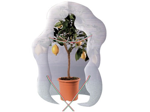 Teli antigelo T.N.T. Brixo Agrithermo Mantello. Prezzo per Pezzo.