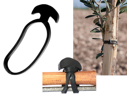 Legacci Ancorette elastiche Bandofix. Prezzo per Confezione.