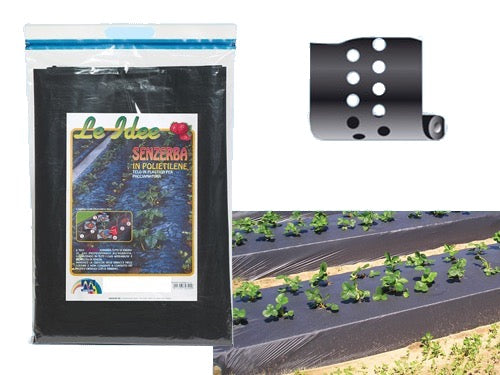 Foglia polietilene nera pacciamatura con fori. Prezzo per Pezzo.