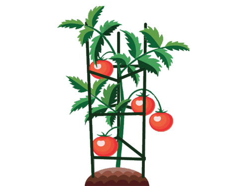 Tutori Gabbie per pomodoro Brixo. Prezzo per Pezzo.