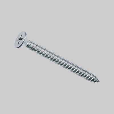 VITE AUTOFILETTANTE INOX TSP mm 3,5x25. Prezzo per Pezzo.