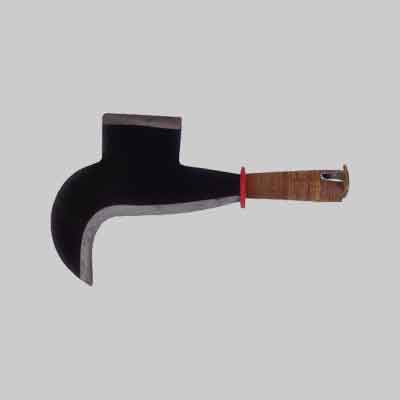 PENNATO TIPO 'PISA' cm 22. Prezzo per Pezzo.