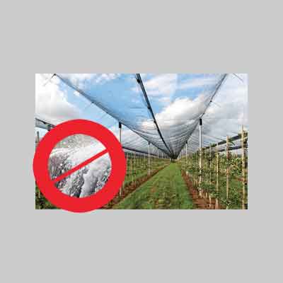 RETE ANTIGRANDINE IDEAL STAR Rotolo mt 3x100 (piegato mt 1,5) - colore verde. Prezzo per rotolo.