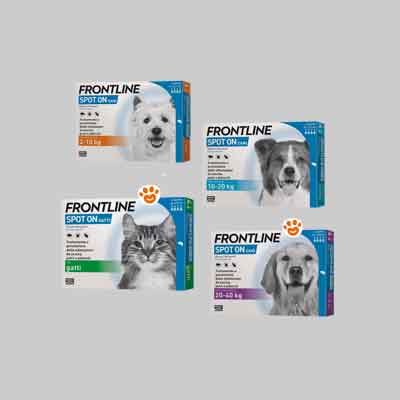 ANTIPARASSITARIO 'SPOT ON' FRONTLINE Per cani 10-20Kg - 4 Pipette. Prezzo per Confezione.