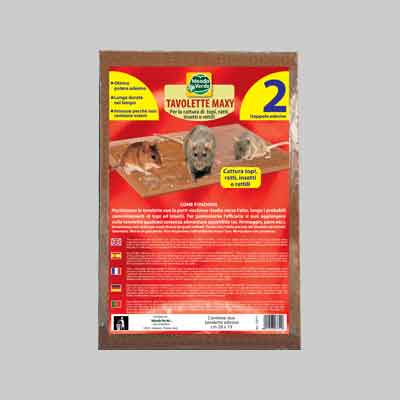 TAVOLETTE ADESIVE AROMATIZZATE PER TOPI cm 19x28 - conf. 2 pezzi. Prezzo per Confezione.