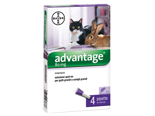 Antiparassitari Bayer Advantage Spot On 80 gatti. Prezzo per Pezzo.