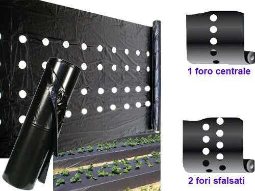 Foglia polietilene nera pacciamatura con fori a rotoli. Prezzo per Chilo.