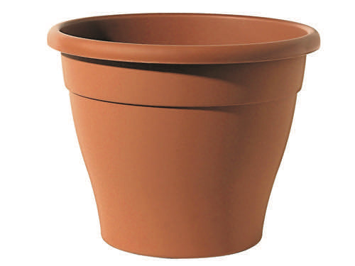 Vasi Telcom Minerva. Prezzo per Pezzo.