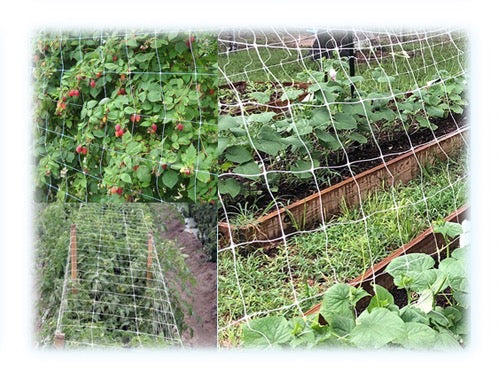 Reti ortofrutta in polipropilene Sostengreen. Prezzo per rotolo.