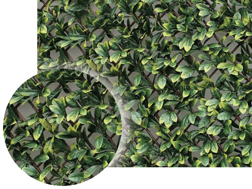 Siepi Panelgreen Brixo Trellis. Prezzo per Pezzo.