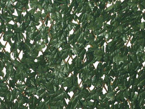 Siepi Panelgreen Brixo Alloro. Prezzo per Pezzo.