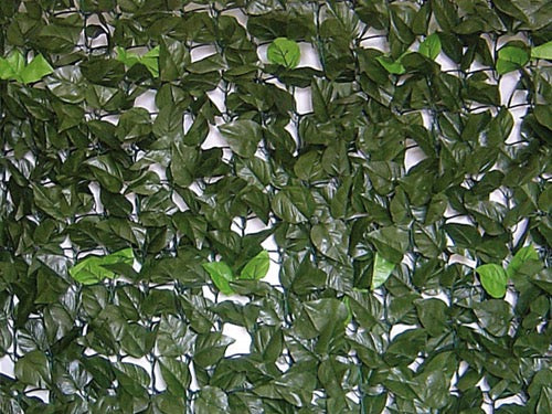 Siepi Evergreen Brixo Lauro. Prezzo per rotolo.