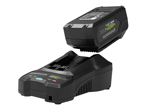 Starter Kit batteria e caricabatteria 48V Greenworks GSK4824B. Prezzo per Pezzo.