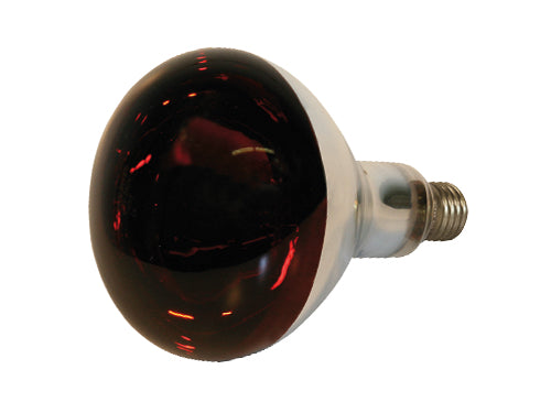 Lampade infrarossi riscaldanti in vetro duro rosso. Prezzo per Pezzo.