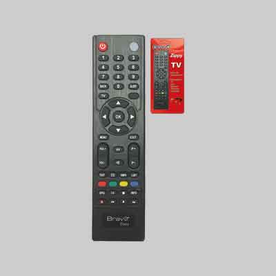 TELECOMANDO TV 'ZIPPY'. Prezzo per Pezzo.
