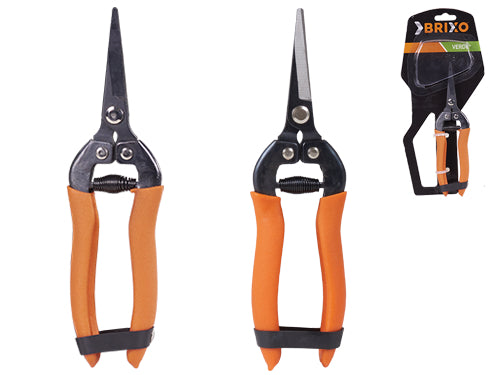 Forbici ortofrutta cogliuva Brixo. Prezzo per Pezzo.