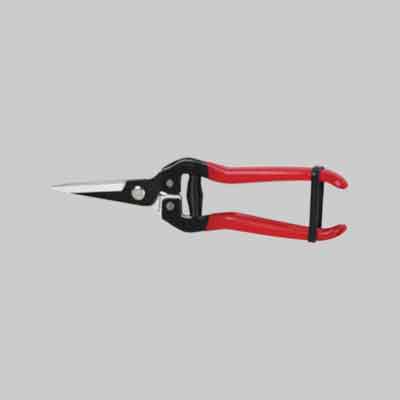 FORBICE COGLIFRUTTA IDEAL STAR cm 19. Prezzo per Pezzo.