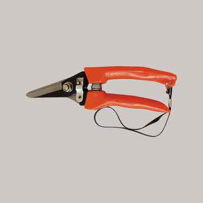 FORBICI COGLIFRUTTA E ORTAGGI '18' cm 18. Prezzo per Pezzo.