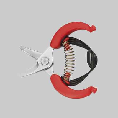 FORBICI PER AGRUMI '10,5' AUSONIA cm 10,5. Prezzo per Pezzo.