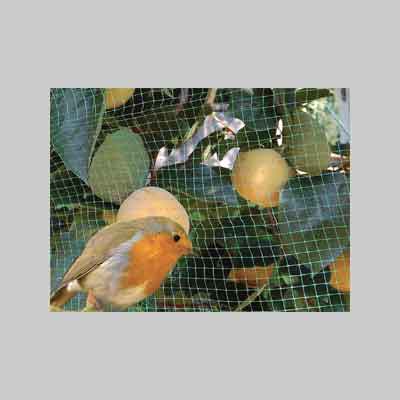 RETE ANTIUCCELLI IDEAL STAR mt 2x5 - Col Verde. Prezzo per Pezzo.