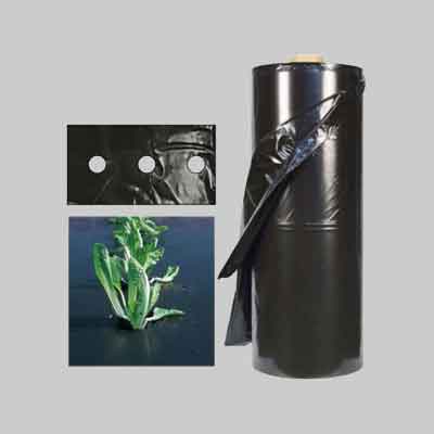 FOGLIA PACCIAMATURA NERA FORATA H mt. 1 - Passo 30 cm, ml circa 1087. Prezzo per Chilo.