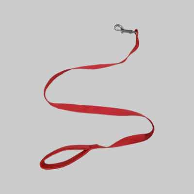 GUINZAGLIO IN NYLON PER CANI CON MANICO IMBOTTITO IDEAL STAR mm 25 x cm 120. Prezzo per Pezzo.