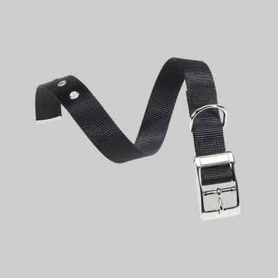 COLLARE PER CANI 'CLUB CF' mm 15 x cm 27÷35 - rosso. Prezzo per Pezzo.