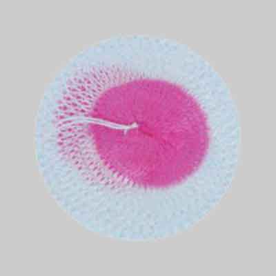 RETINA PER LAMPADA A GAS 100 Watt - conf. 3 pezzi. Prezzo per Confezione.
