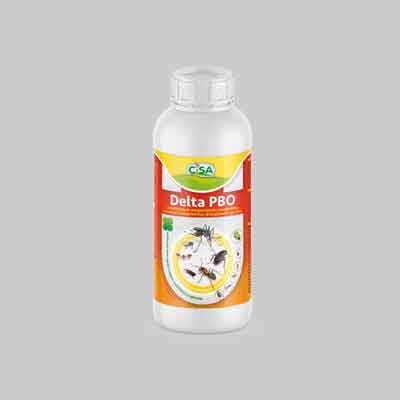 INSETTICIDA LIQUIDO CONCENTRATO 'DELTA PBO' 250 ml. Prezzo per Pezzo.