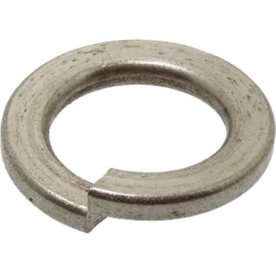 RONDELLA GROWER M 12 pz. 20. Prezzo per Pezzo.